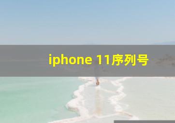 iphone 11序列号